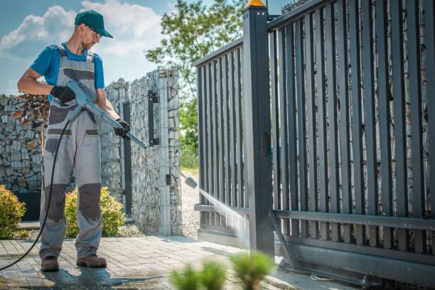 Best Patio and Deck Pressure Washing  in Bridgeville, DE