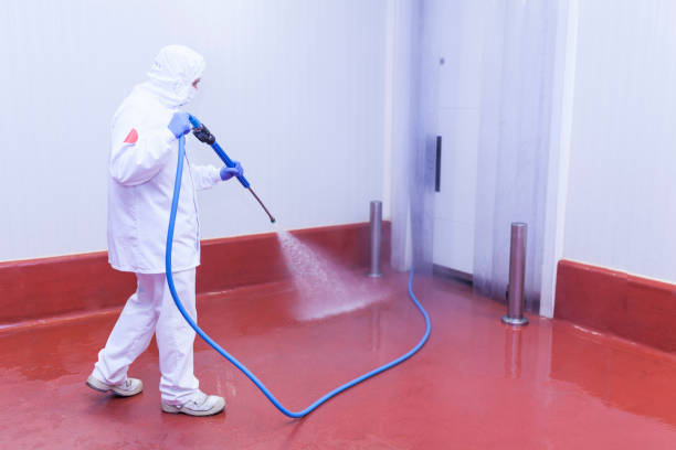 Best Machinery and Equipment Cleaning  in Bridgeville, DE