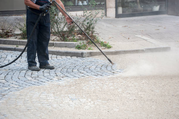 Best Factory Floor Cleaning  in Bridgeville, DE